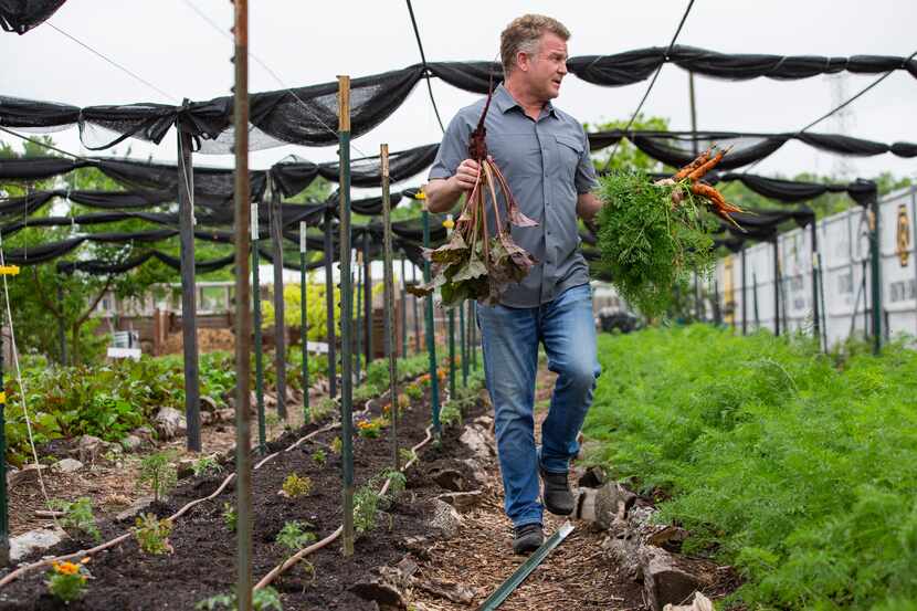 Daron Babcock, executive director of Bonton Farms, harvests vegetables on April 20, 2020 in...