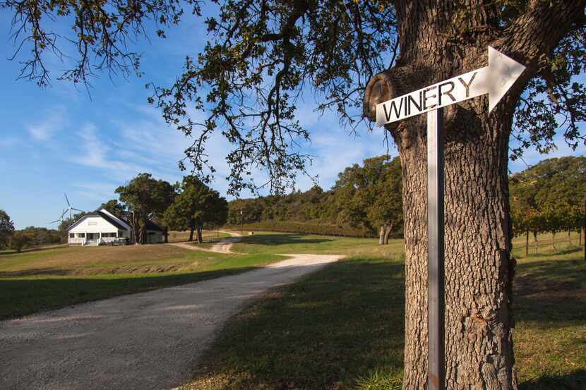 4R Ranch Vineyards and Winery in Muenster has opened a tasting room in historic downtown...