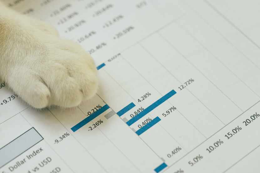 Not every cat wants to help pick asset classes, Scott Burns says, but it's worth a try.