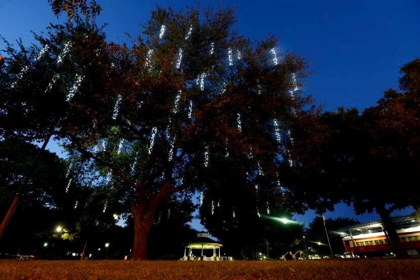 A newly lit tree stands in Haggard Park in observance of Earth Day.
