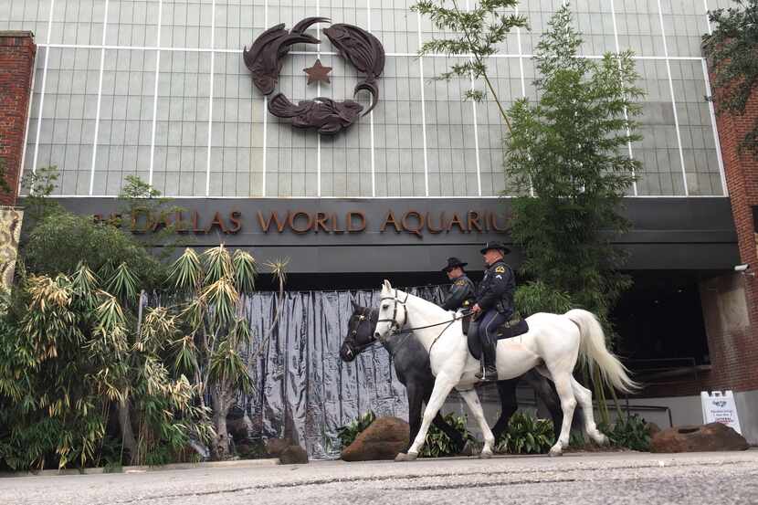 Two Dallas policemen, from the Department’s Mounted Unit, pass the Dallas World Aquarium on...