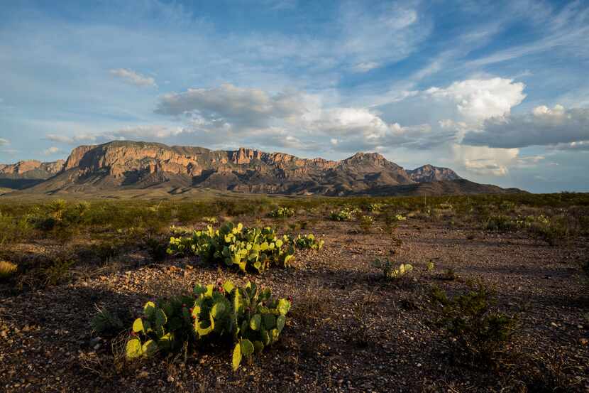 The Chisos Mountains in Big Bend National Park.