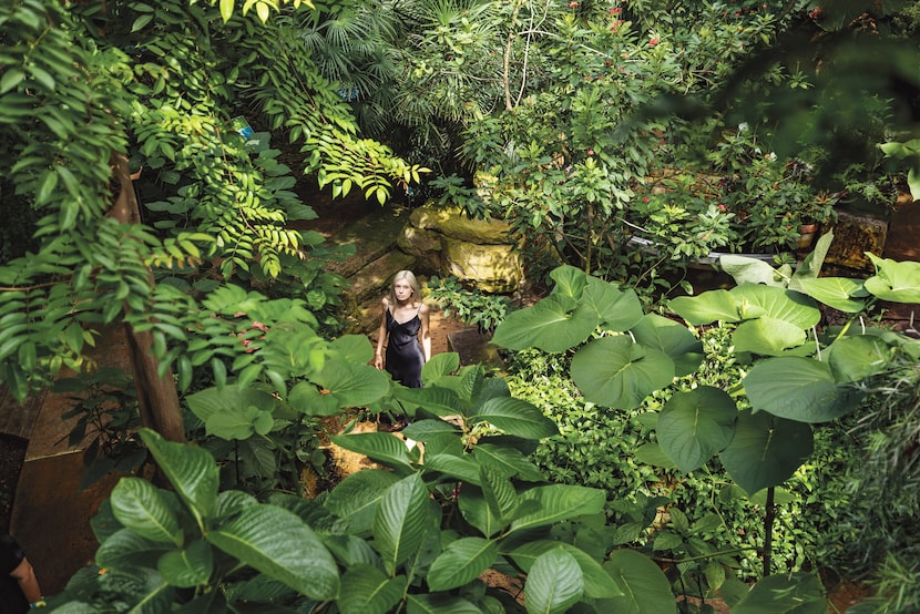 A visitor strolls the two-story Butterfly House and Insectarium at Texas Discovery Gardens.