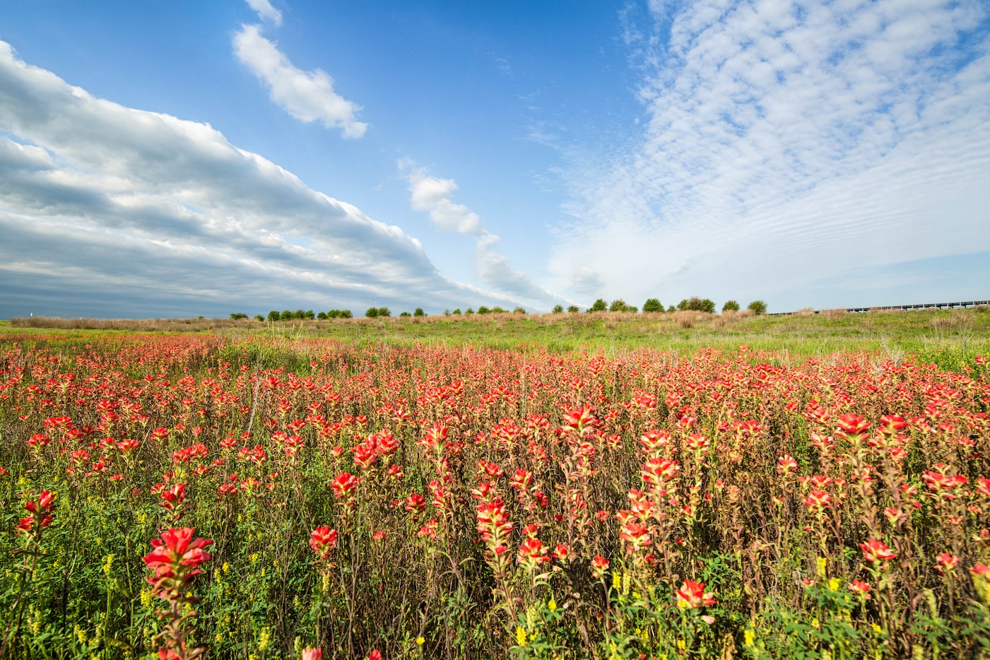 A nature areas in the Sandow Lakes Ranch site, which is up for sale for $250 million.