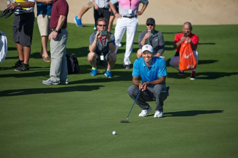 Tiger Woods  lines up a putt on one of the greens on the first round of his new course.