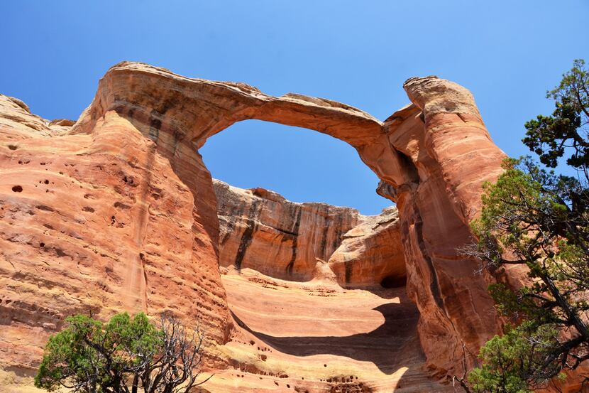 Colorful sandstone arches are the reward for a long, hot hike into Rattlesnake Canyon on the...