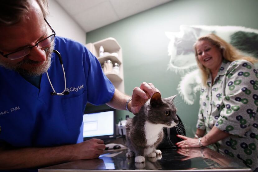 Dr. Doug Parker takes a look at Phoebe while her owner Cheryl Hawkins looks on in the...