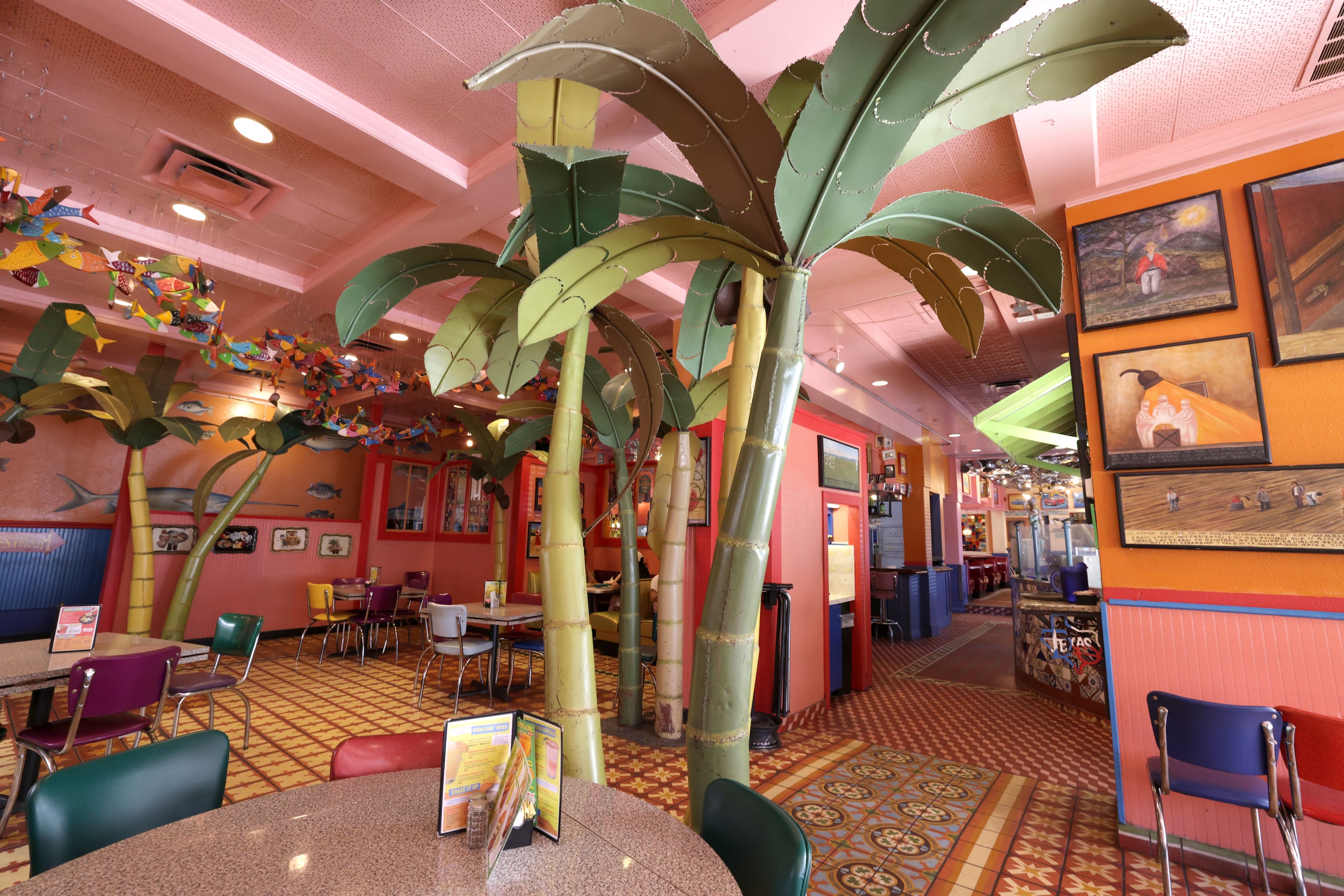 Fake palm trees fill a room at Chuy's in Dallas, TX, on Aug 18, 2024. (photo by Jason...