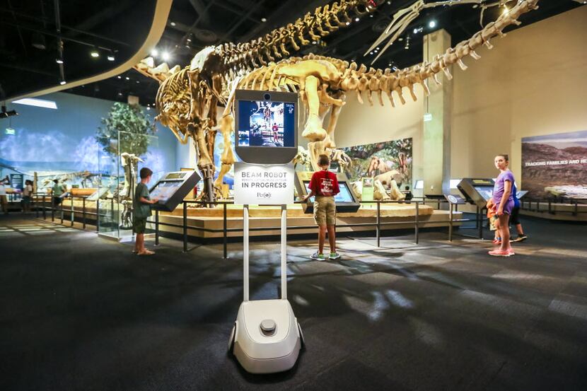 A BEAM robot moves remotely through displays at the Dallas Perot Museum on Wednesday, June...