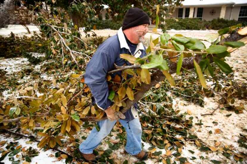 Assess damage the ice and cold did to your plants: If trees were broken, and if you’ve not...