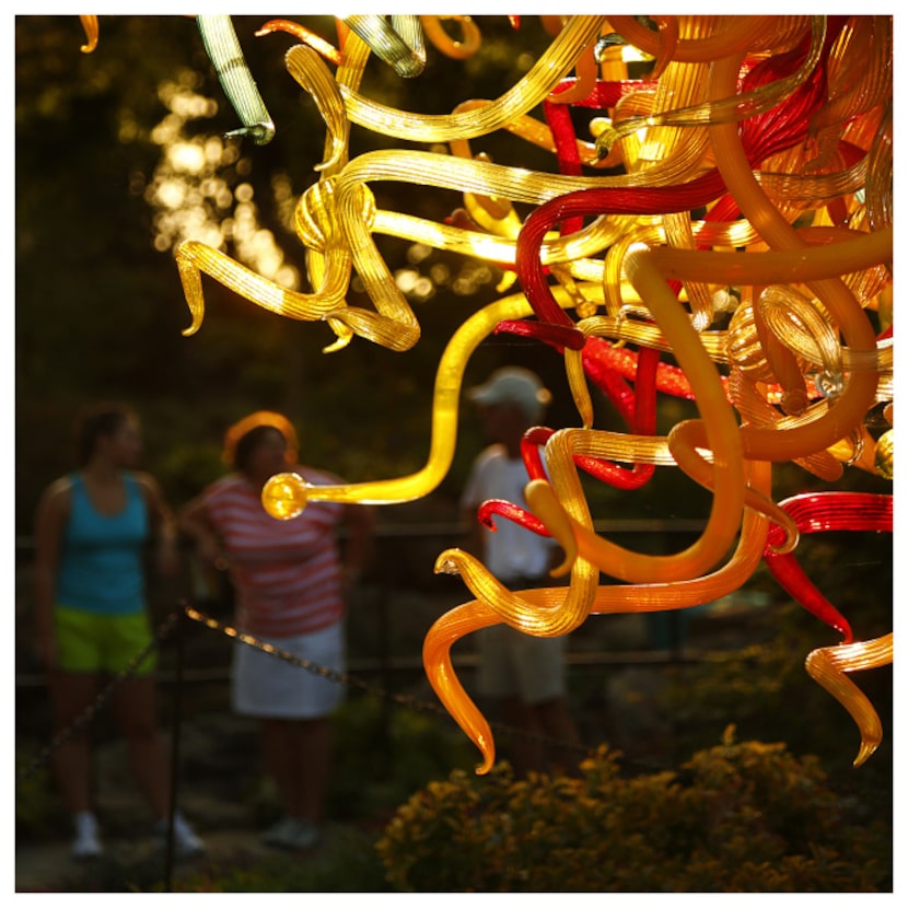 Chihuly's The Sun is seen as the sun sets at the Dallas Arboretum. Photographed with a Canon...