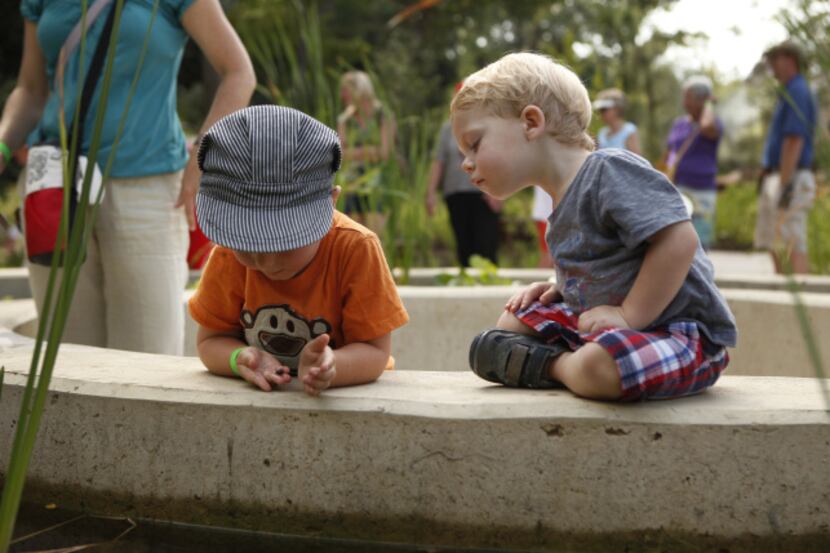 Alexander White, 2, checks out a tiny snail found by Arthur Hagge, 3, at a preview of the...