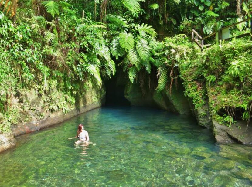 
The entrance to Titou Gorge, Dominica, is barely visible. But exploring what lies behind...