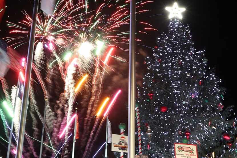 Fuegos artificiales, iluminación del árbol de Navidad vivo más grande de Texas, chocolate...