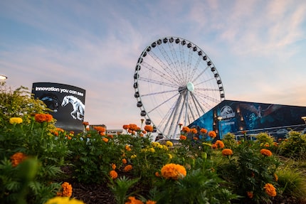 Grandscape even has a Ferris wheel.