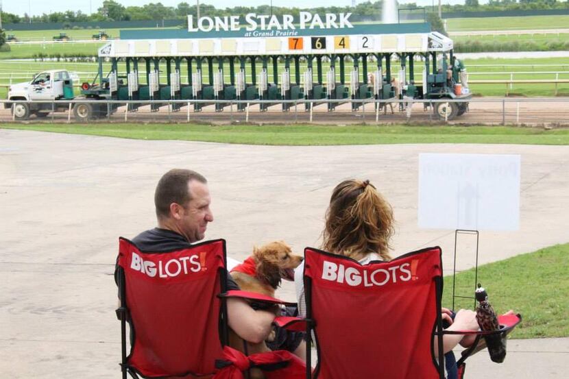
Lone Star Bark on Sunday will include live racing, pet-friendly vendors and a Doggy Dash...