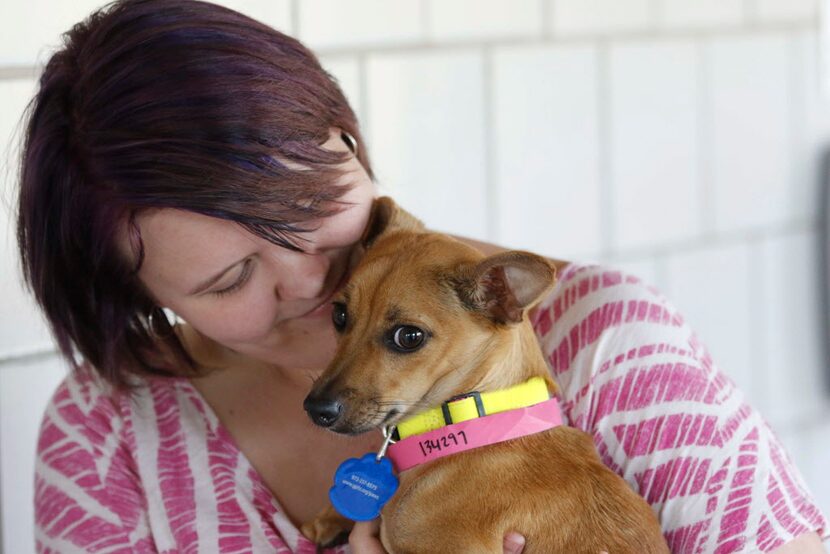 Meagan Lee, 16, adopted Kiyoko, a Chihuahua, during last year's Clear the Shelters event at...