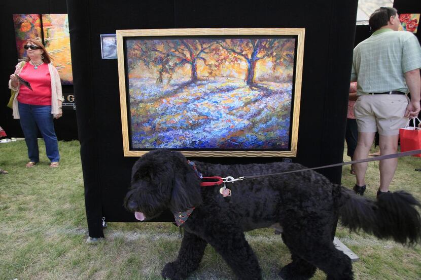 
A dog named Zeus walks past the paintings of Niki Gulley at Richardson’s Cottonwood Art...