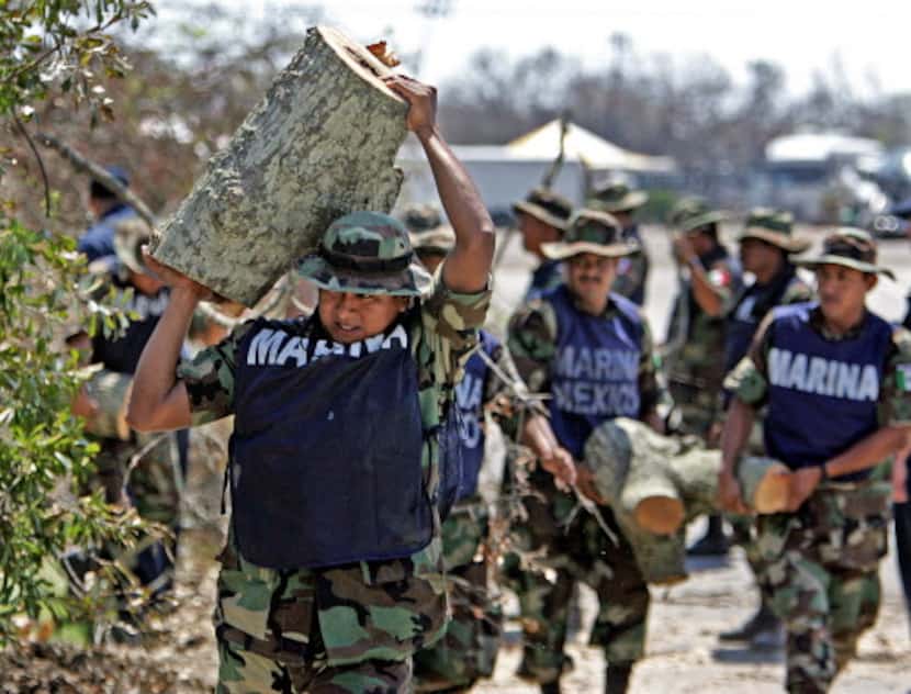 Unos soldados mexicanos cargan con pedazos de árboles, mientras que ayudan a limpiar los...
