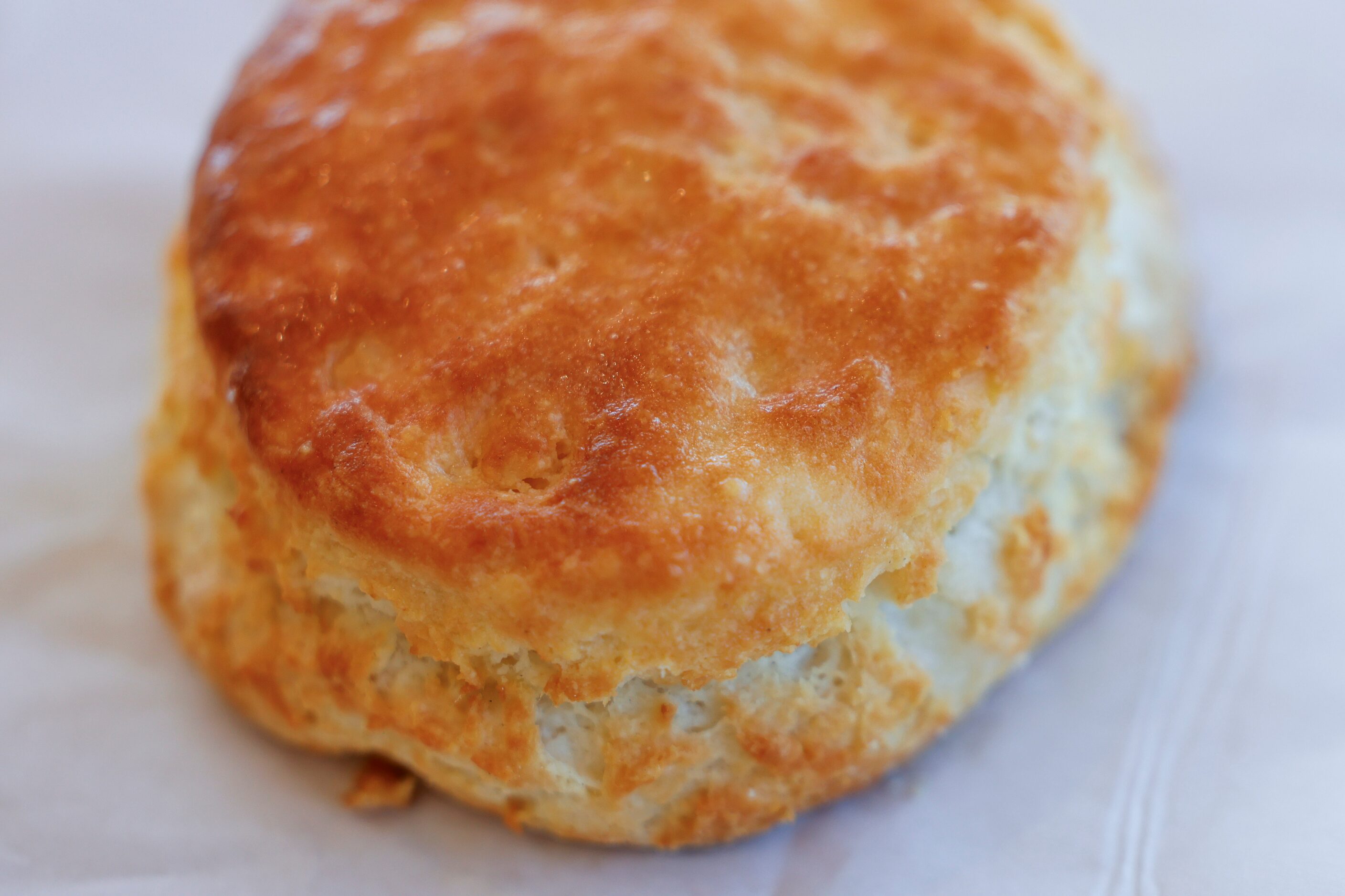 Biscuit during the opening day of Bojangles in Euless on Tuesday, June 27, 2023. 