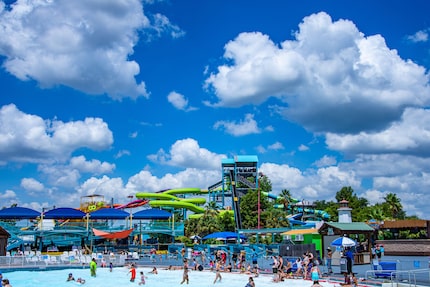 A rendering of Six Flags over Texas' Hurricane Harbor.