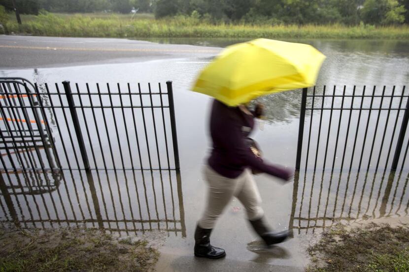 
Tidal floods are occurring more frequently in places like Charleston, S.C., killing lawns...