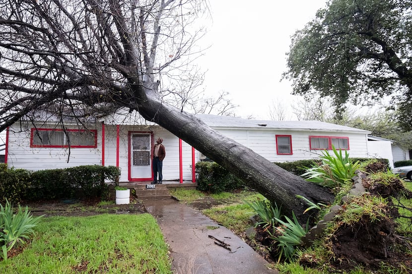 An Oak Cliff resident surveyed the damage from a fallen tree on a home at Bonnie View Road...