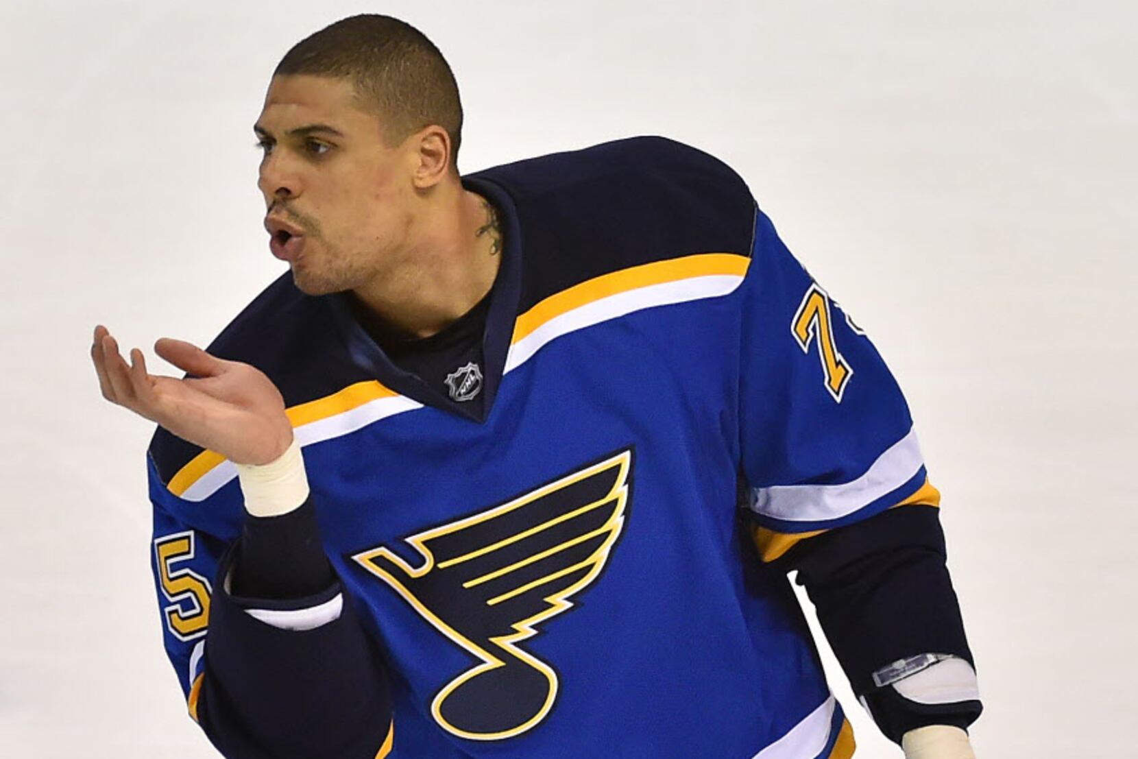 St. Louis Blues right wing Ryan Reaves (75) during the NHL game