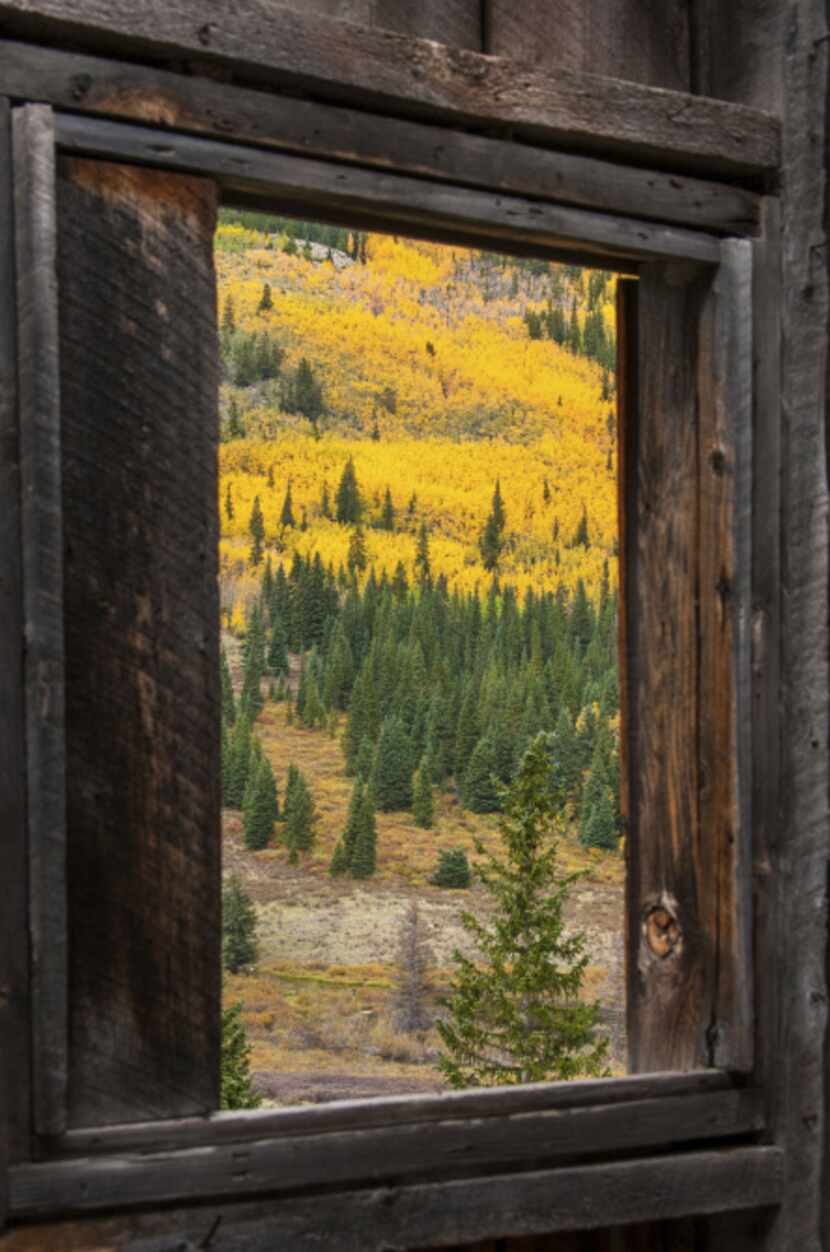 Autumn foliage fills the view from a cabin window at the Banker Mine. Colorado's weathered...