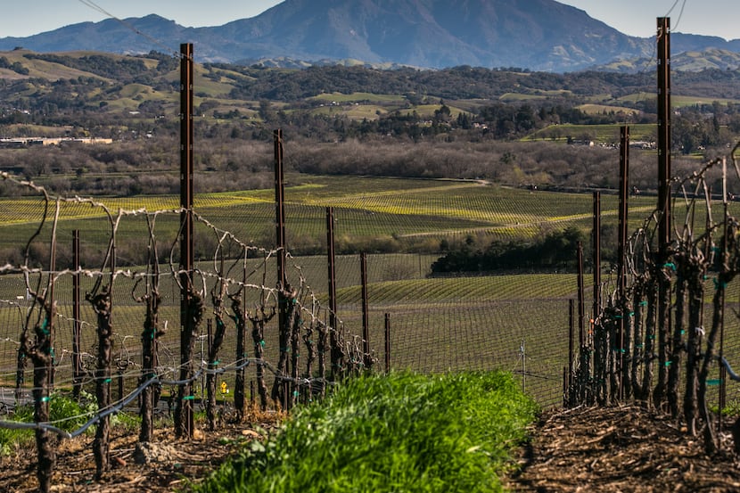 The inaugural Healdsburg Wine & Food Experience in California in May 2022 will highlight...