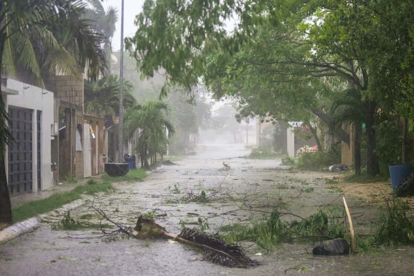Vegetation covers a street during the pass of Hurricane Beryl in Tulum, Mexico, Friday, July...