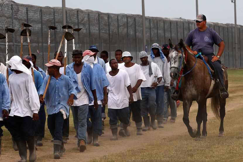 A prison guard rides a horse alongside prisoners as they return from farm work detail at the...