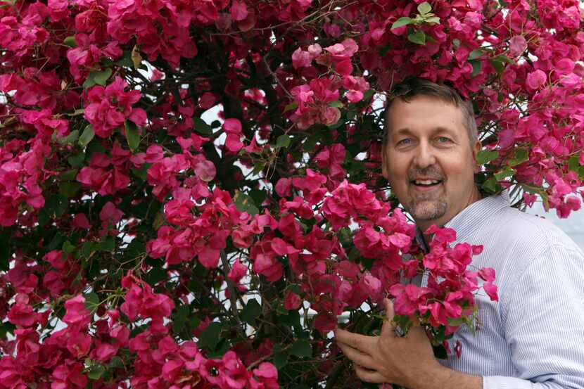 Jimmy Turner, senior director of Gardens at the Dallas Arboretum, stands next to a...