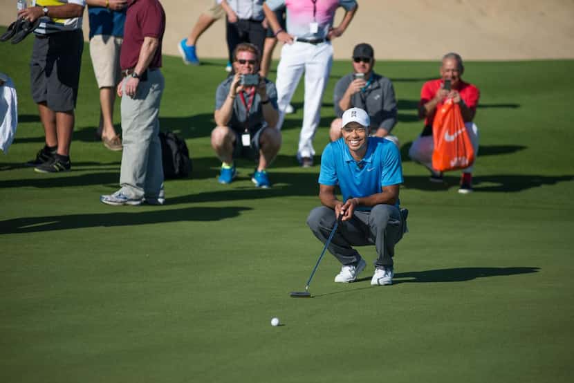 Tiger Woods  lines up a putt on one of the greens on the first round of his new course.