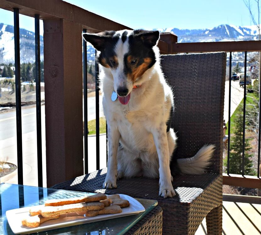 Bones on the balcony at Park City's Waldorf Astoria which supports local animal rescue...
