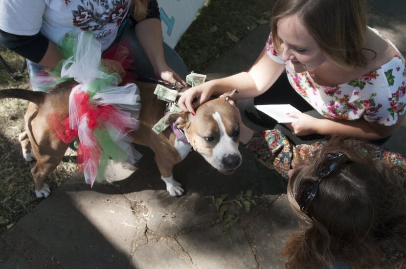 Kayla Highsmith (top right) and Susannah Woodruff stopped to pet Abby, a pit bull whose...