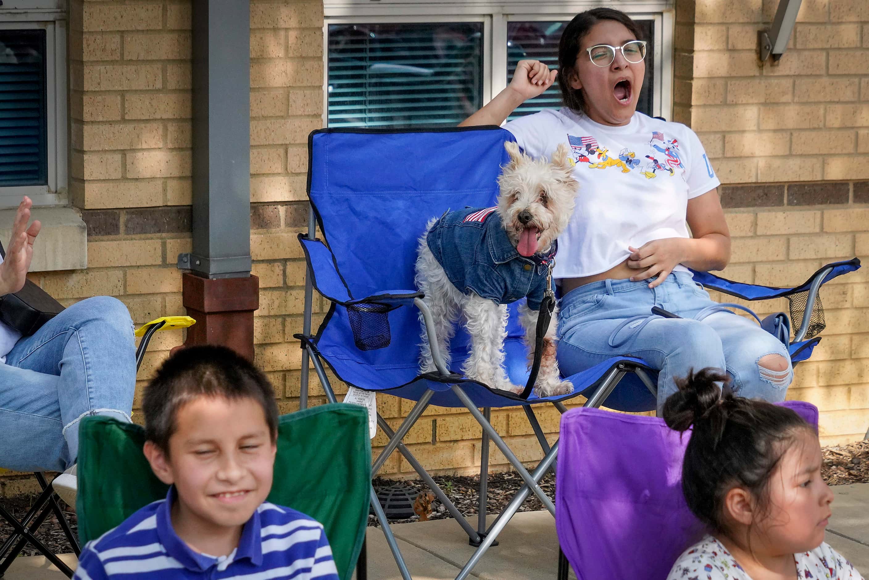 A dog watches from a folding chair with other spectators during the Arlington Independence...