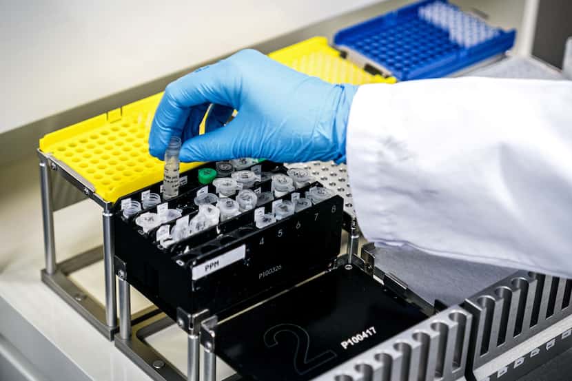 An employee of a medical laboratory manipulates samples of the novel coronavirus COVID-19.