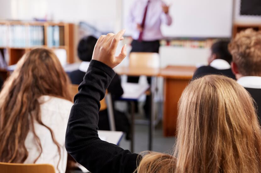 A rear shot of a young student raising her hand in a classroom.