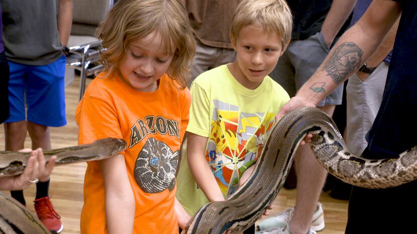 Friends Reghan Reeves and Cayman Jones of Krum get an up-close look at a dwarf reticulated...