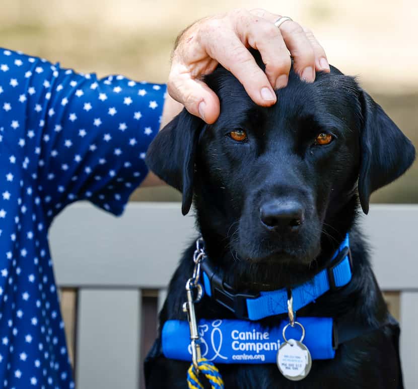 Veteran Kathy Schneider’s dog Dakota in between a portrait session on during a service dog...