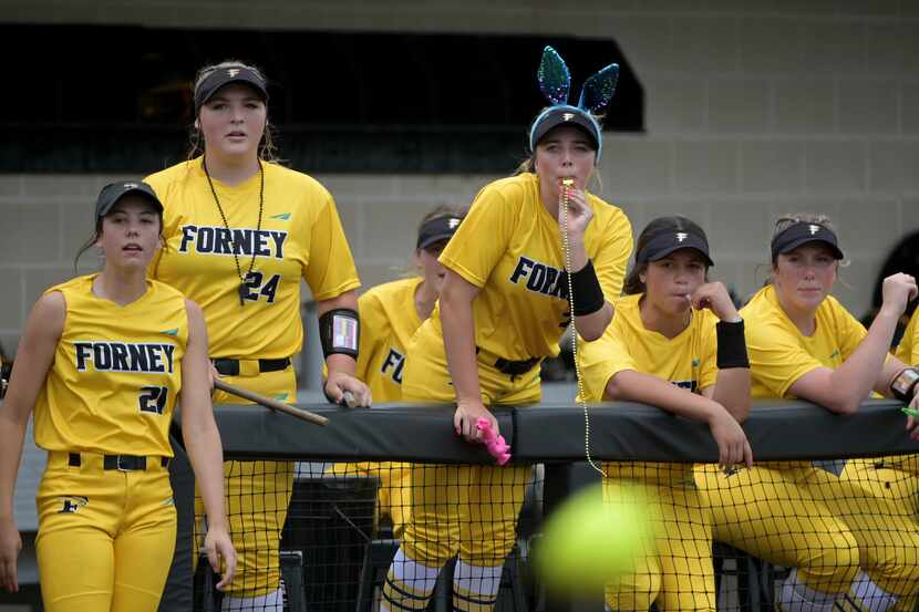 Forney players watch as a ball is hit into play during game 3 of a Class 5A Region II...