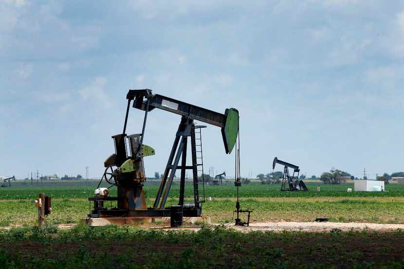 Pump jacks draw oil in cotton fields north of Lubbock on Aug. 2, 2017. (Tom Fox/The Dallas...