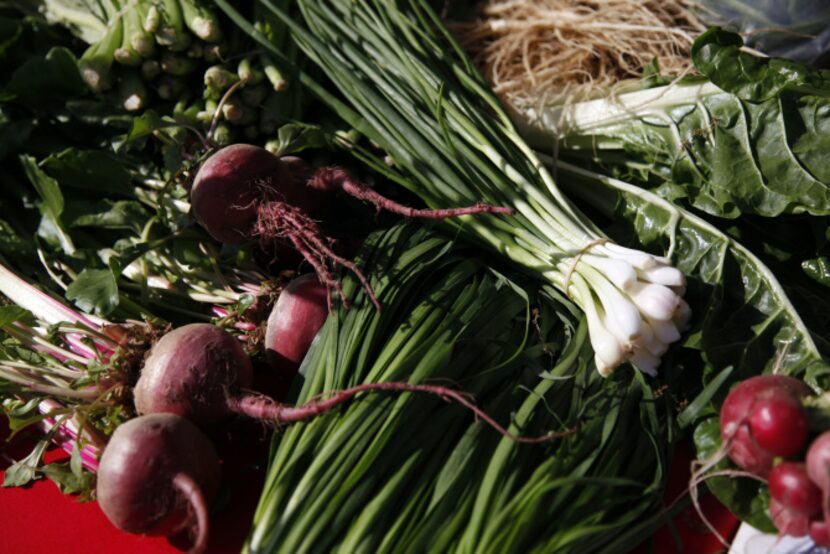 Chioggia beets, garlic chives and green onions at the Gardeners in Community Development...