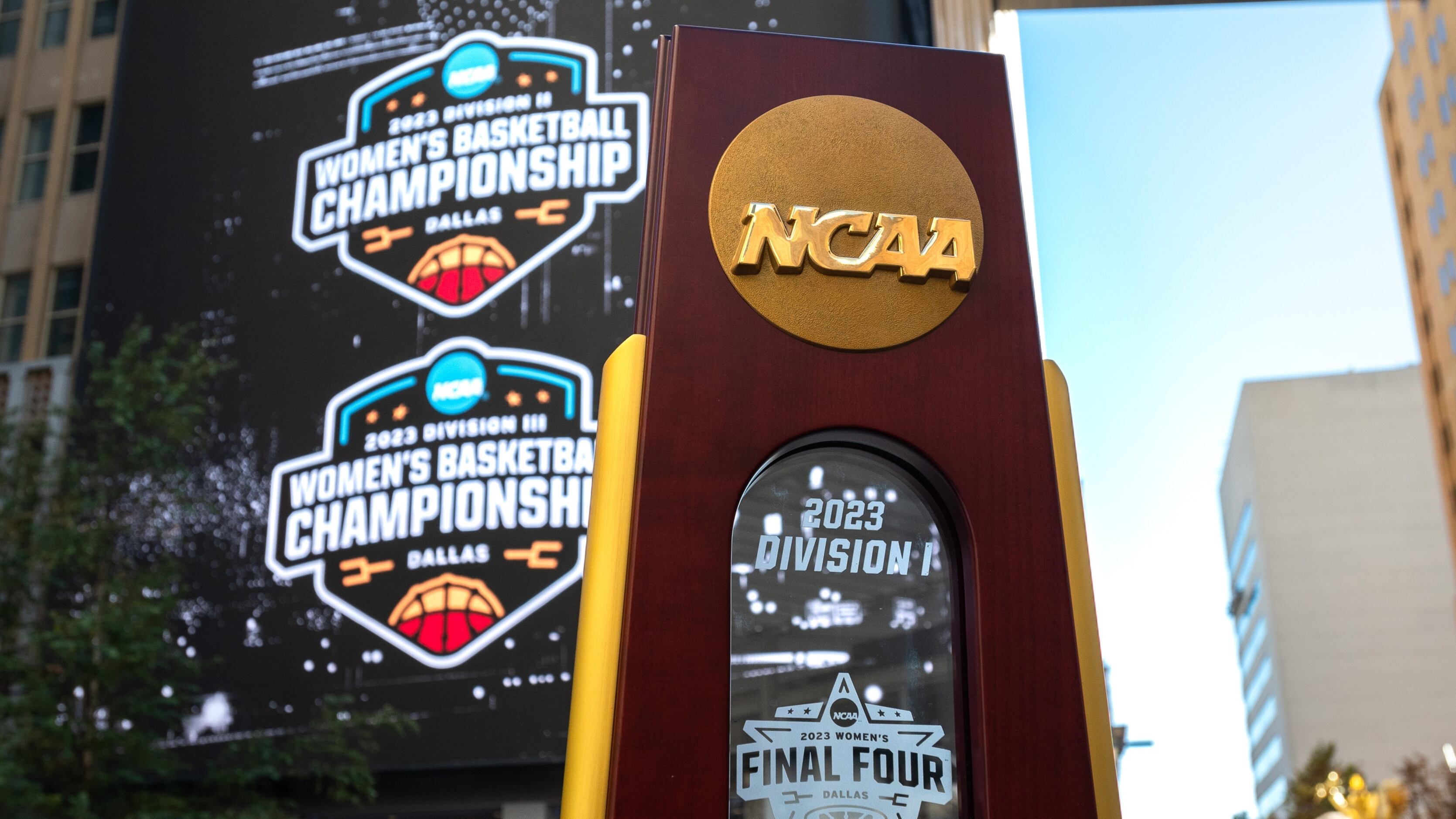 College World Series Finals: LSU Is The 2023 National Champion - Sports  Illustrated TCU Killer Frogs News, Analysis and More