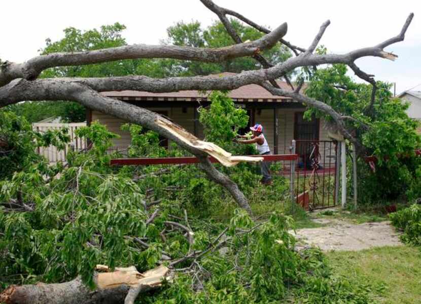 
Linda Mitchell saws limbs off of one of two trees that fell into her yard from a...