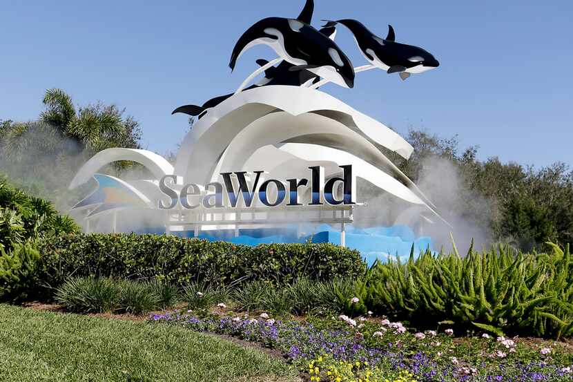FILE- In this Jan. 31, 2017, file photo, the entrance to Sea World is seen, in Orlando, Fla....
