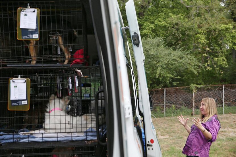 Tawana Couch , president of the Society for Companion Animals, greeted the dogs from Palm...