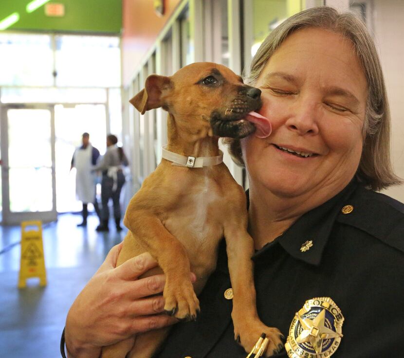 Dallas police Maj. Barbara Hobbs got a little love from Teena at Dallas Animal Services on...