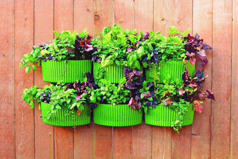 
Horizontal pockets make a vertical garden for kitchen herbs and leafy vegetables. The...